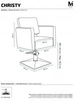 Sillón de Peluquería Christy